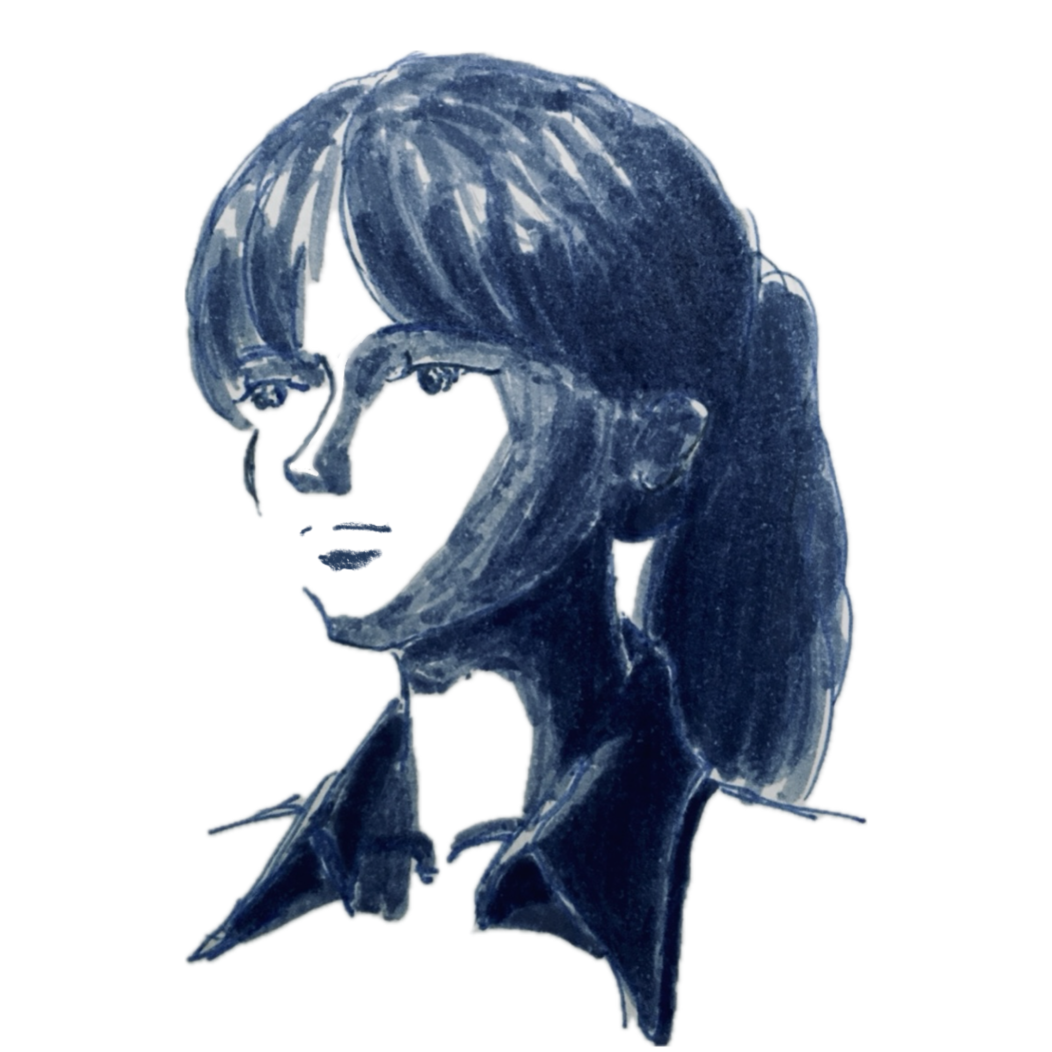 固定画像